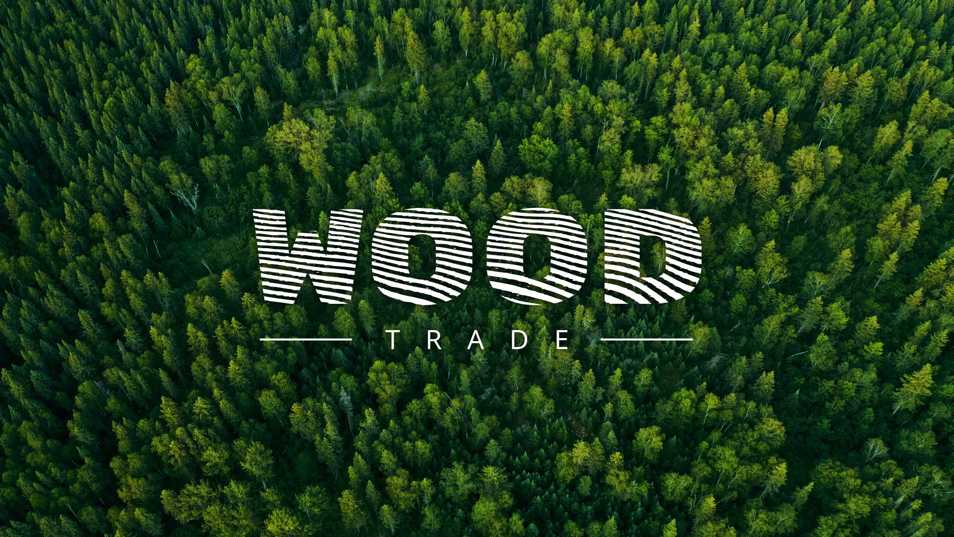 Разработка интернет-магазина компании «Wood Trade» в Стародубе